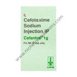 Cefantral 1000mg Injection