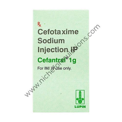 Cefantral 1000mg Injection