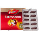 DR072258_1.png