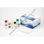 Dengue Igg Elisa Kit