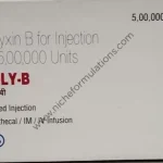 Hipoly-B Injection