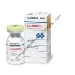 Leunase 10000IU Injection