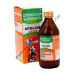 Ostocalcium B12 Banana Syrup