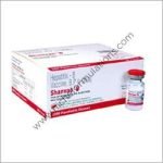 Shanvac-B Paediatric 10mcg Injection